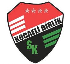 Kocaeli Birlik satıldı