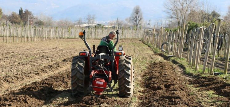 Büyükşehir kendi fidanlarını kendisi yetiştiriyor