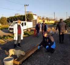 Belediye, sokak hayvanlarını unutmadı