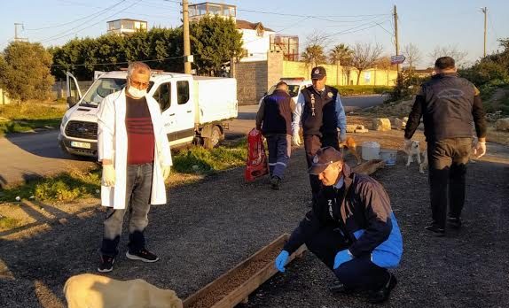 Belediye, sokak hayvanlarını unutmadı