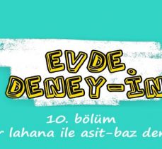 Evde Deney-in