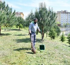 Belediyeden Bahar Temizliği