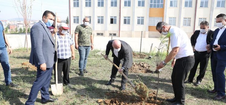 OKUL BAHÇELERİNE FİDAN DİKİLİYOR