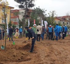 GAZİLER DAĞI, DAHA DA YEŞİL OLACAK!