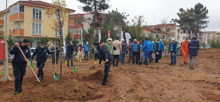 GAZİLER DAĞI, DAHA DA YEŞİL OLACAK!