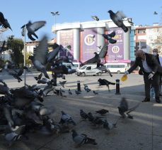 DARICA’DA SOKAK HAYVANLARI UNUTULMADI