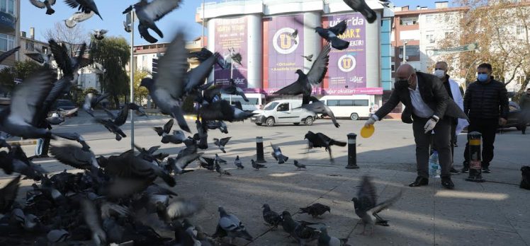 DARICA’DA SOKAK HAYVANLARI UNUTULMADI