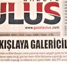 GALERİCİLER SİTESİNE TEPKİ BÜYÜK!