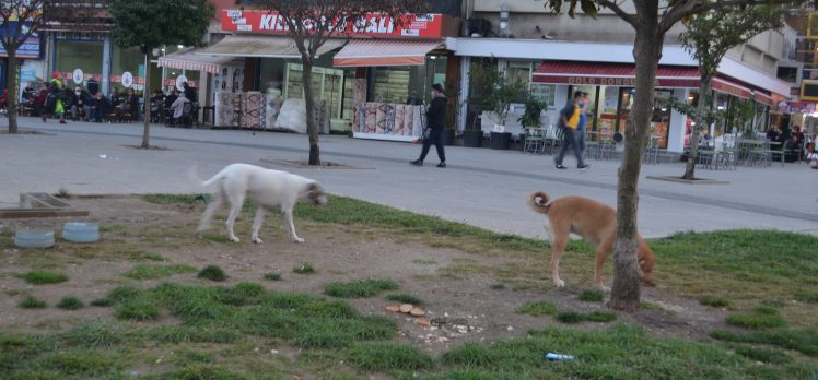 KENT MEYDANI KÖTÜ KOKUYOR