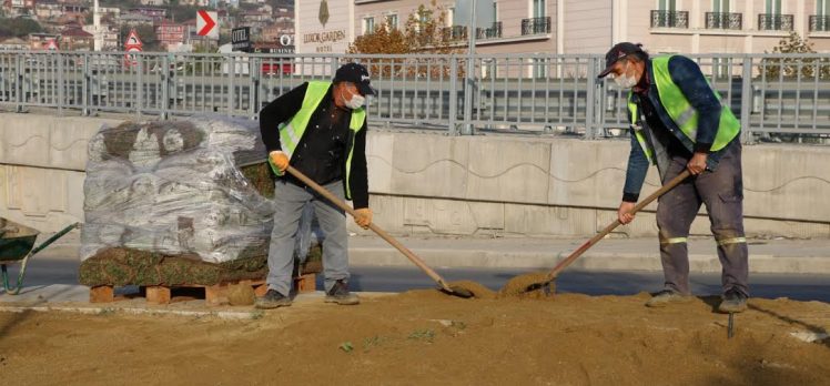 OTOGAR KÖPRÜLÜ KAVŞAĞI’NA YÜZLERCE AĞAÇ DİKİLECEK