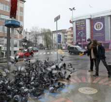 Başkan Bıyık, sokak hayvanlarını unutmadı