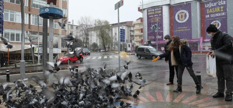 Başkan Bıyık, sokak hayvanlarını unutmadı