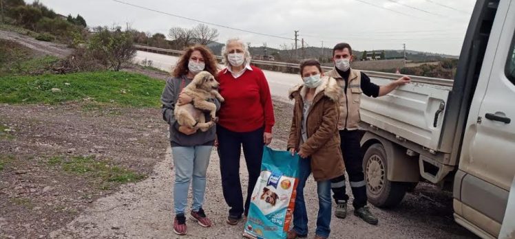 Büyükşehir, sokak hayvanları için 1,5 ton mama dağıttı