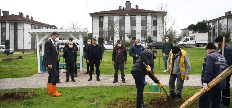 KARTEPE’DE HER YIL 1100 FİDAN TOPRAKLA BULUŞACAK