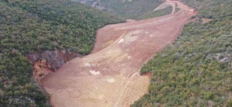 Hereke dolgu alanına 10 bin 500 ağaç dikildi