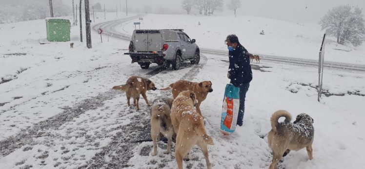 Patili dostlar Gebze’de unutulmuyor