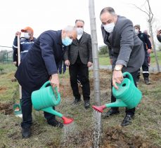 Sağlık Çalışanları İçin Ağaçlandırma Çalışması