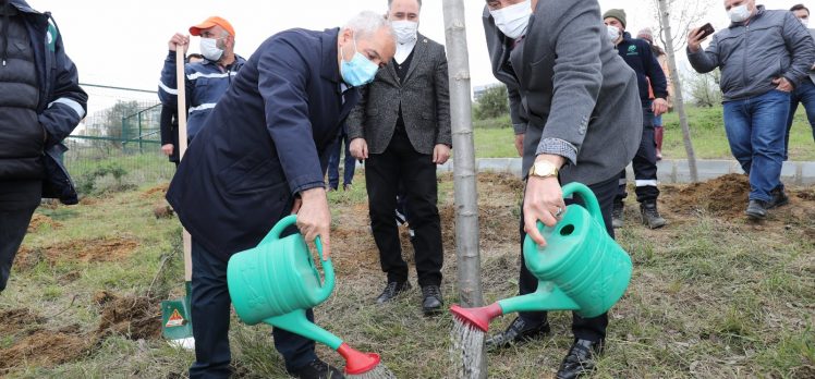 Sağlık Çalışanları İçin Ağaçlandırma Çalışması