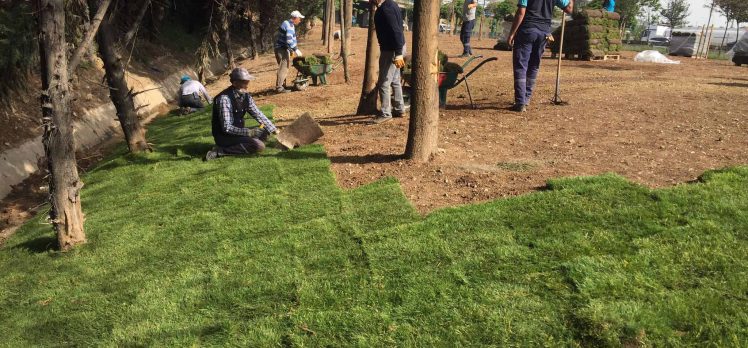 Derince’deki stadın çimleri, Dilovası Batı Kavşağı’na serildi