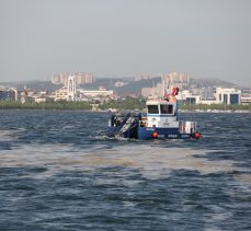 50 günde 150 ton deniz salyası toplandı