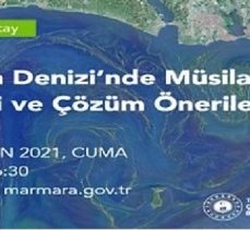 “Marmara Denizi’nde Müsilaj Problemi Ve Çözüm Önerileri”Çalıştayı Düzenleniyor