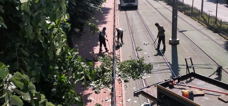 Tramvay hattına zarar verebilecek dallar budandı