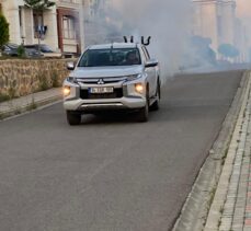 Dilovası Belediyesi, sivrisinek ve haşerelere savaş açtı