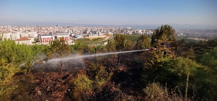 Gebze’de mesire alanında yangın; çam fidanları zarar gördü!