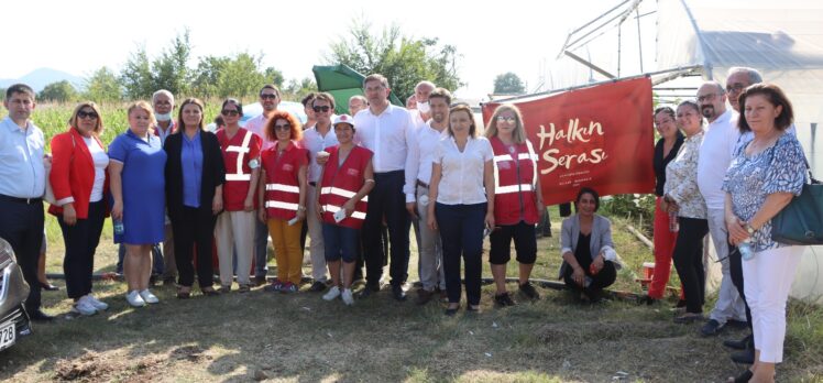 CHP Başiskele’nin sera hasadına katıldı