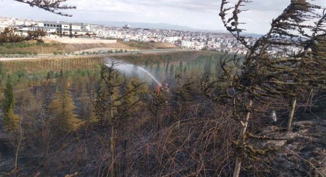 Gebze’de mesire alanında çıkan yangın söndürüldü