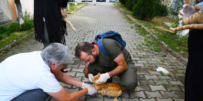 Çayırova’da sokak hayvanlarına aşı