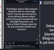 Gebze Belediyesi’nden uyarı!