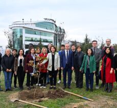 Milli Ağaçlandırma Günü Kapsamında Fidan Dikimi Gerçekleştirildi